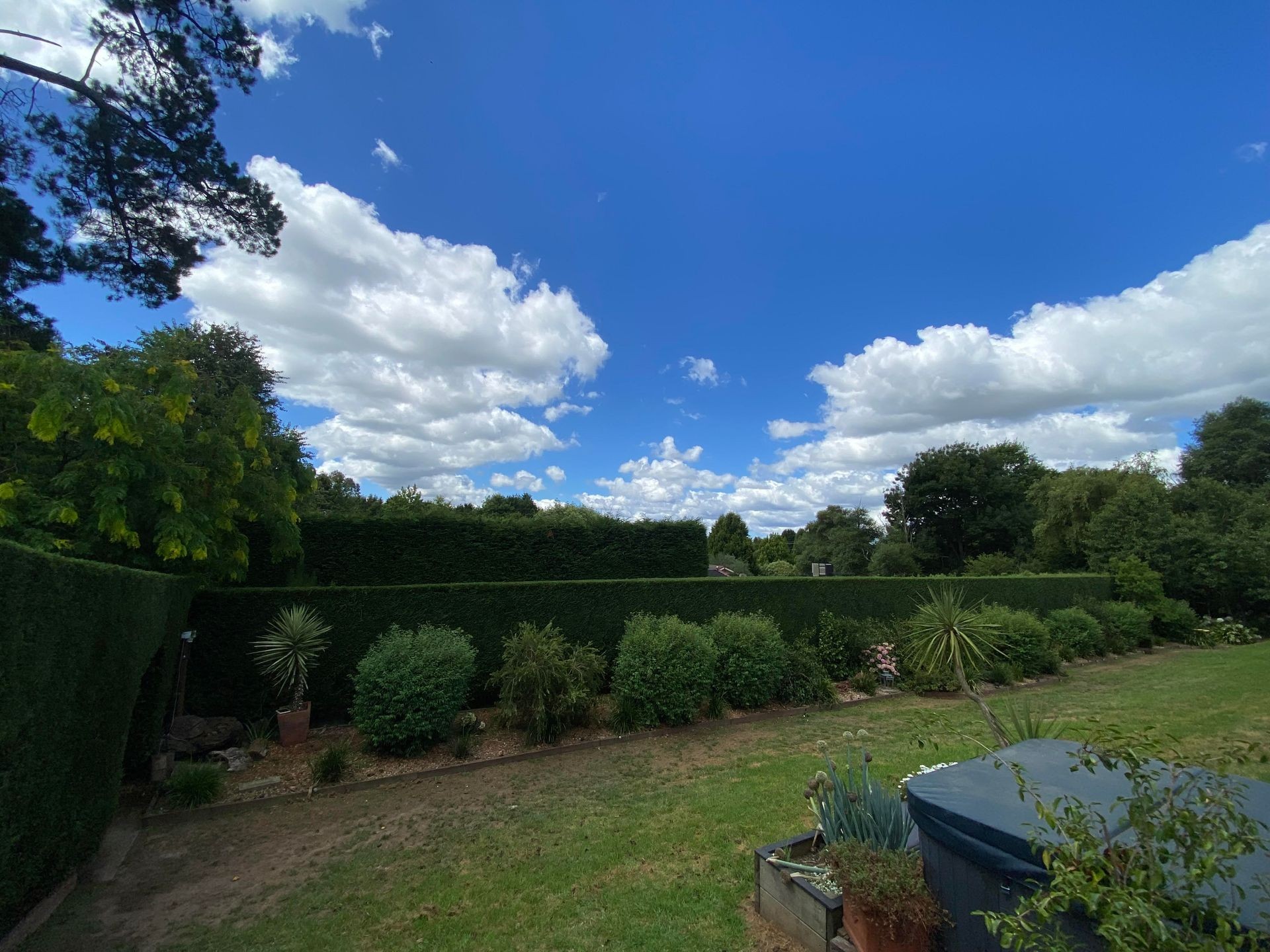 Large hedge boarding formal garden.